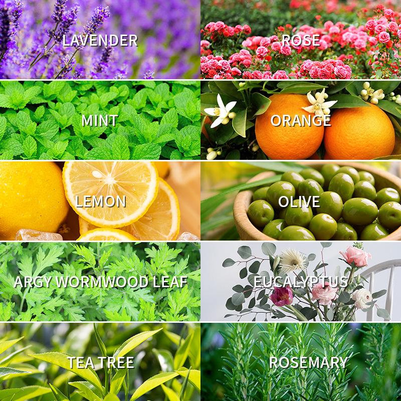 Aromatherapy Essential Oil 10m - Perfume Fragrance Oil review and price